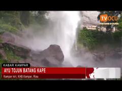 AYU TOJUN BATANG KAPE